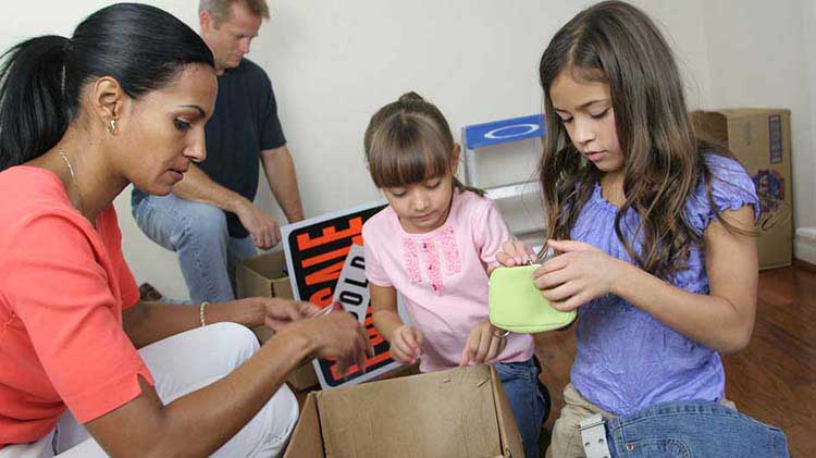 163-renew-insurance-wide