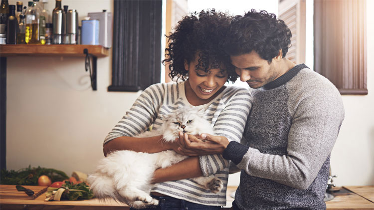 Hombre y mujer sosteniendo un gato.