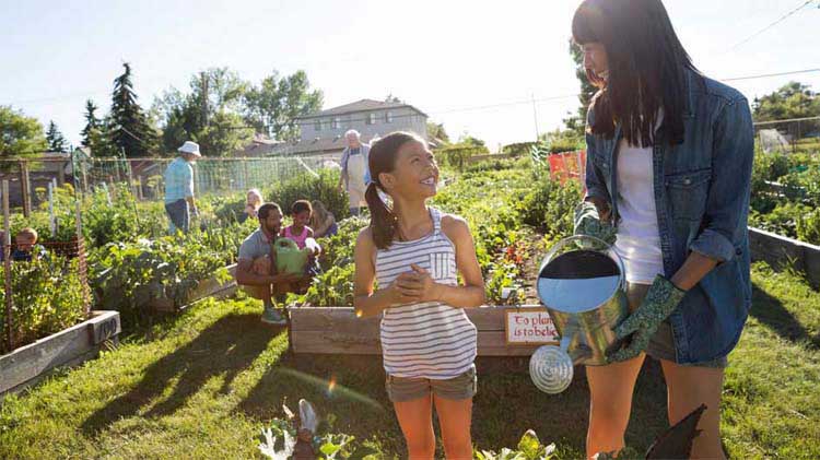 discover-urban-gardening-wide