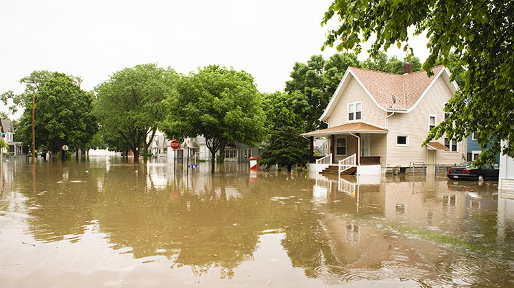 Unas cuantas casas y una calle afectadas por una inundación.