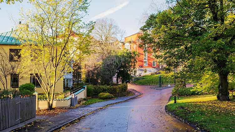 Vecindario con casas a lo largo de una calle sinuosa.