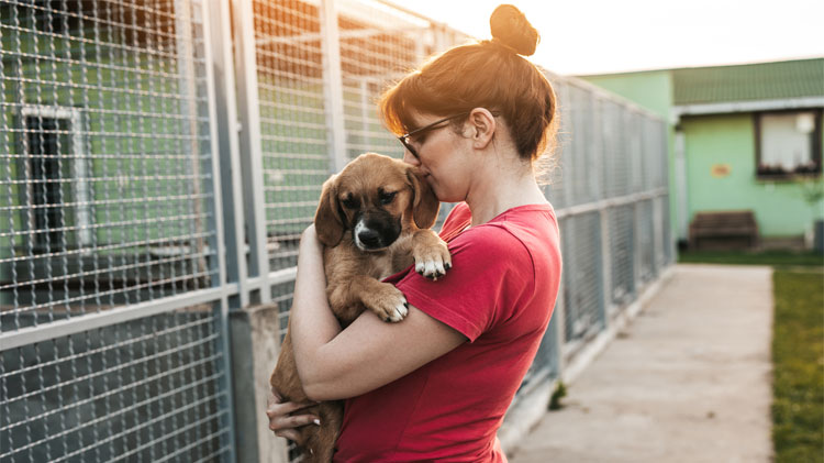 Mujer en un refugio de animales adoptando un perro.
