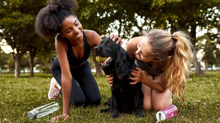Dos mujeres jóvenes jugando con su perro rescatado.